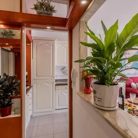 Desert Rose Apartman Split