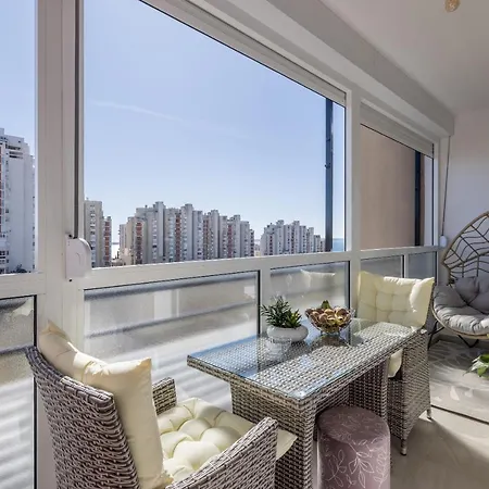 Desert Rose * 스플리트